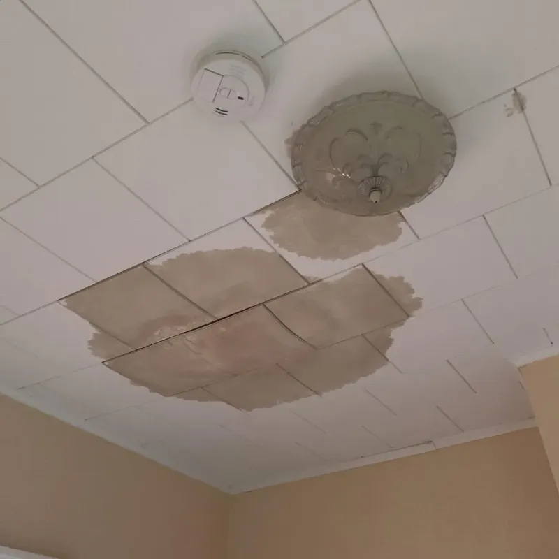 Ceiling Water Damage Repair in Strawberry Point, IA