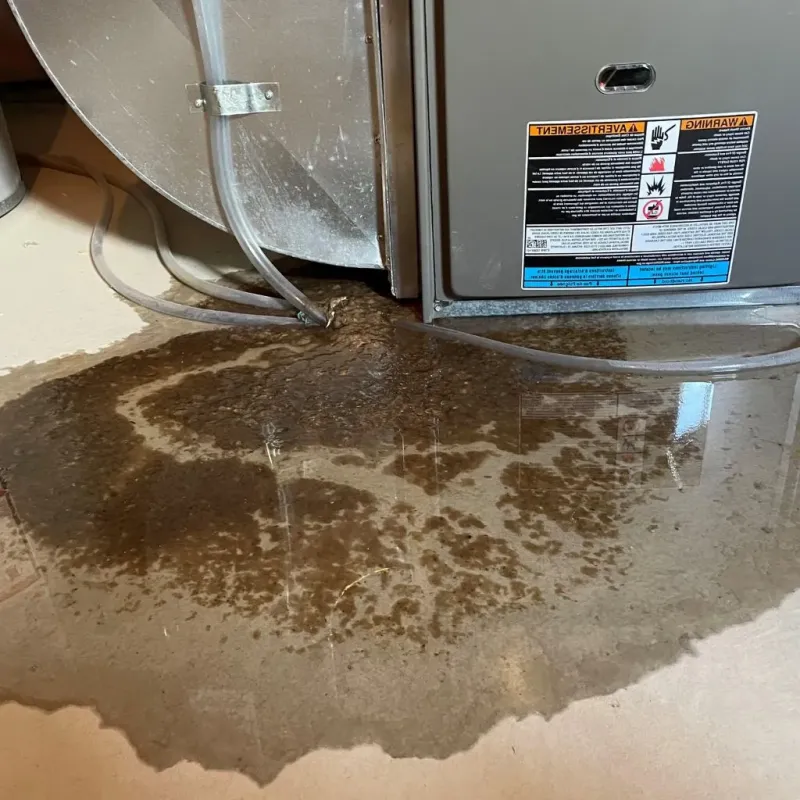 Pipe Burst and Leak Restoration in Strawberry Point, IA