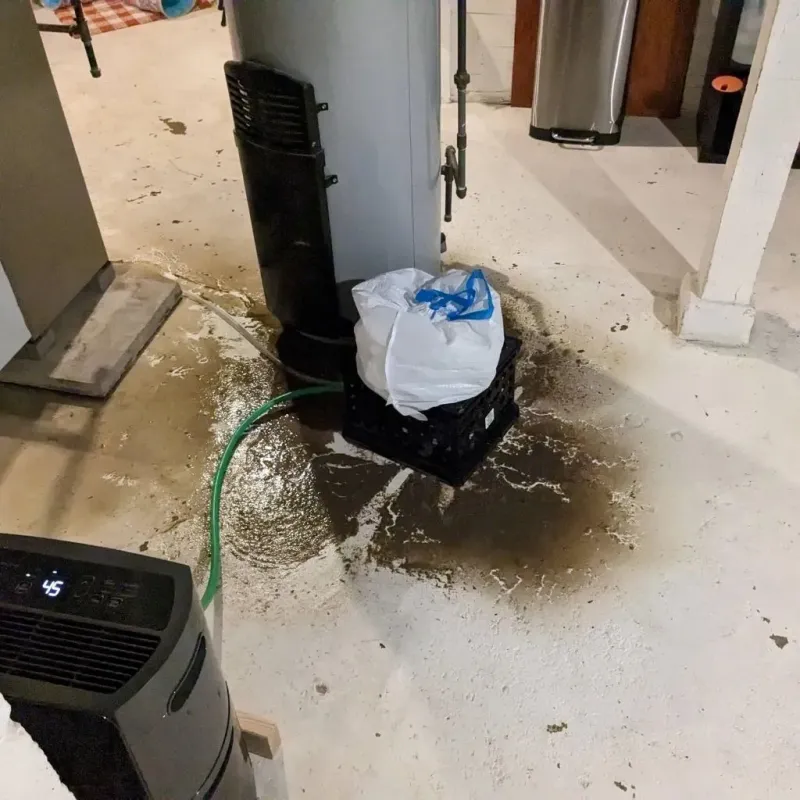 Sewage Backup Cleanup Service in Strawberry Point, IA